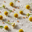 SCALP CALM – Sensitive Scalp Shampoo